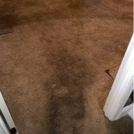 Carpet Cleaning - Before 1