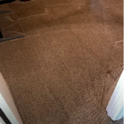 Carpet Cleaning - After 1