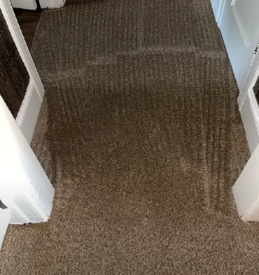 Carpet Cleaning - After