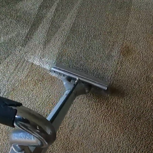 Carpet Cleaning - Before 2