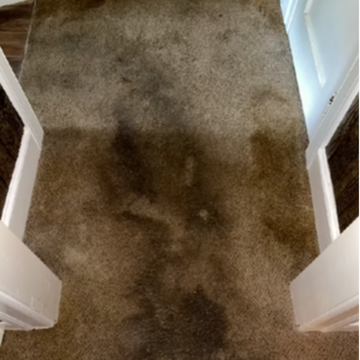 Carpet Cleaning - Before